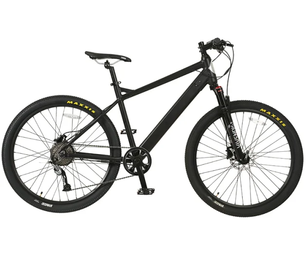 
China High Quality Factory Price Fat Tyre Adult Electric Assisted Bicycle For Men 