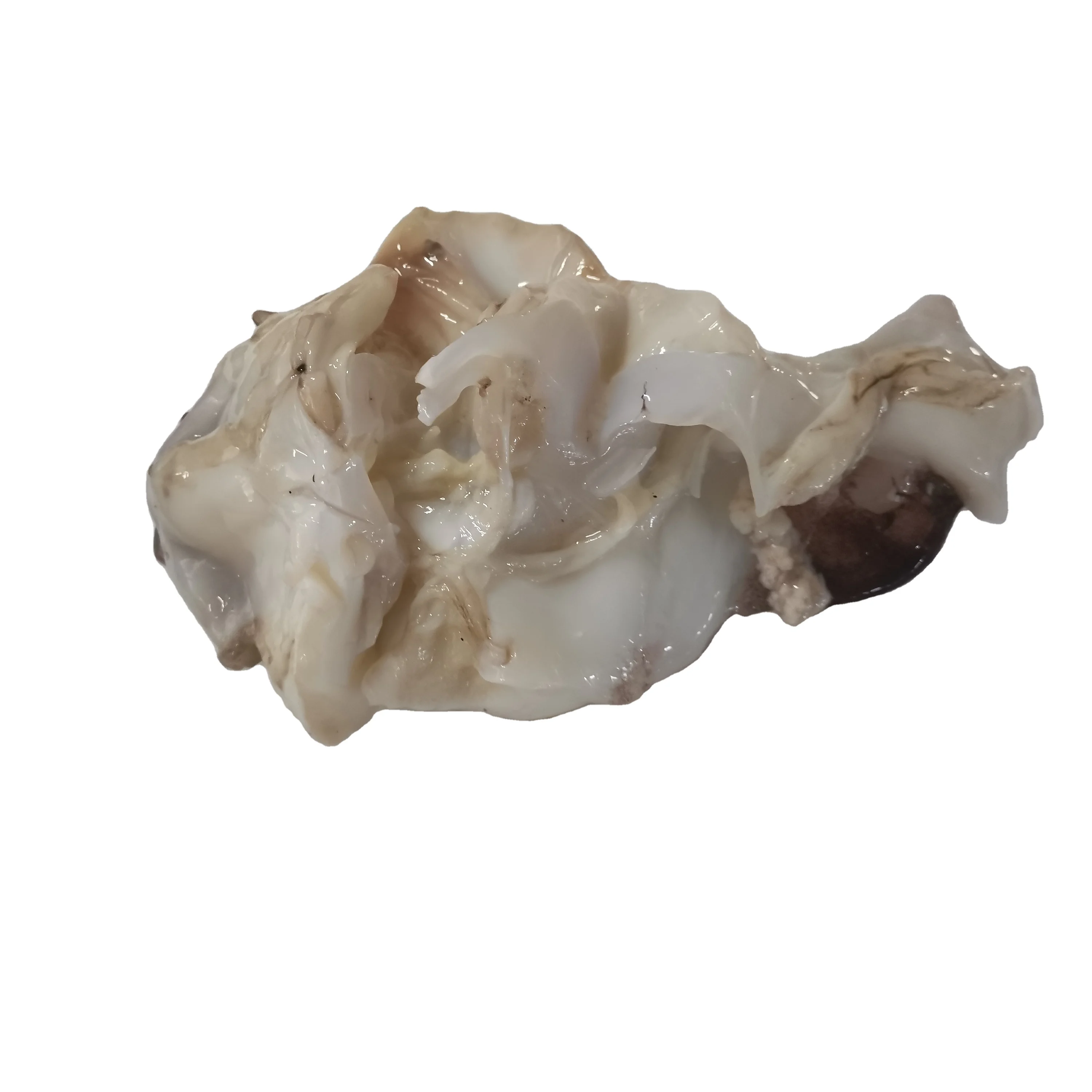 Новое поступление, индийский кальмар для шеи, замороженный кальмар, оптом, Таиланд