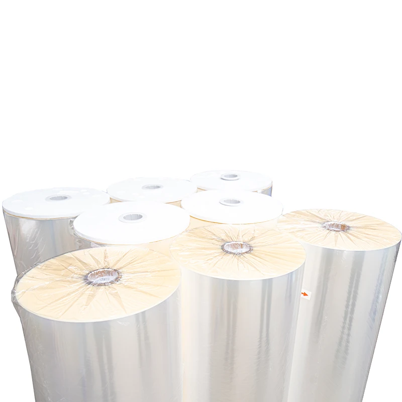 Retort CPP Film for Cooking Manufacturer RCPP Films Roll Food Packaging Customization