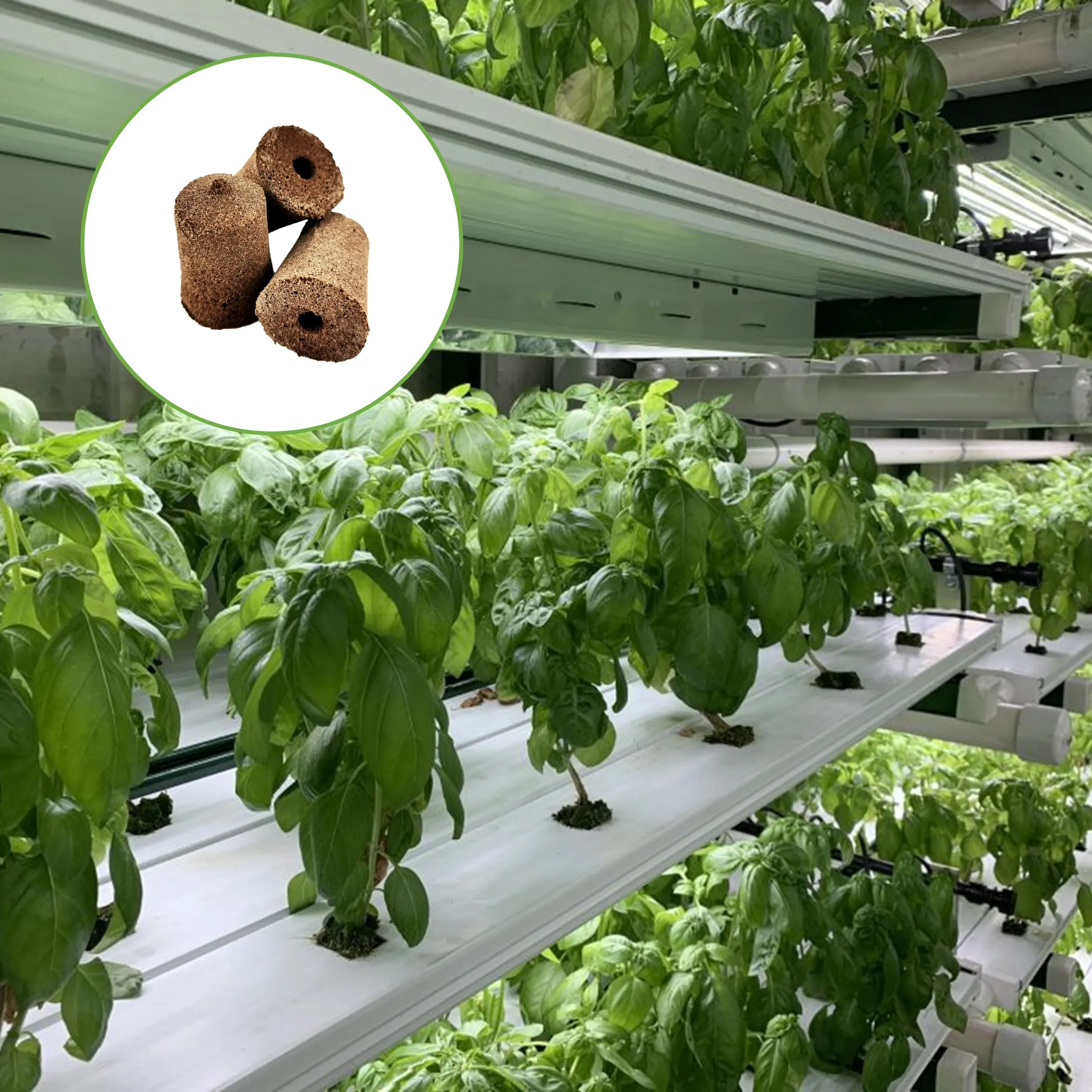 2 Inch Grow Sponge Seed Starter Plug For Hydroponic Home Garden Indoor Smart Grow System Seedling Tray Potting Soil