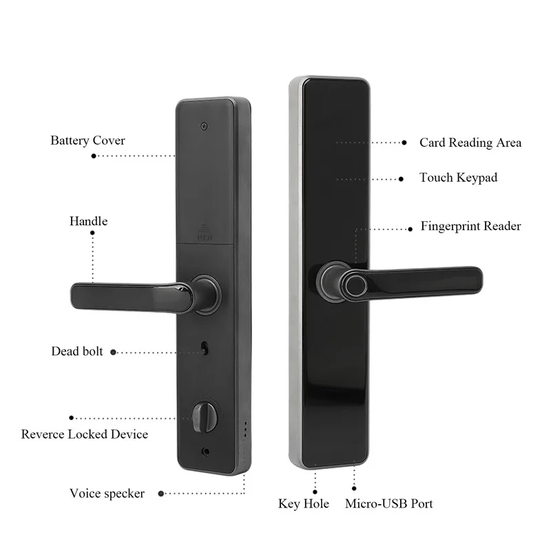 Russian Kazakh Voice locks handle electric password digital smart Ttlock fingerprint door lock cerradura inteligente