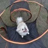 Creative Design Luxury XL Iron Pet Playpen Grip Resistant Portable Fence Tent with Zipper Closure Breathable for Dogs and Cats