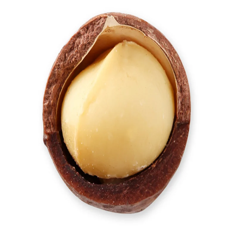 High Quality Good Taste Organic Macadamia Without Skin