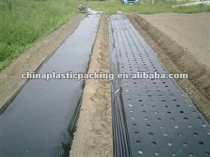 Agricultural perforated plastic polyethylene PE mulch film with hole
