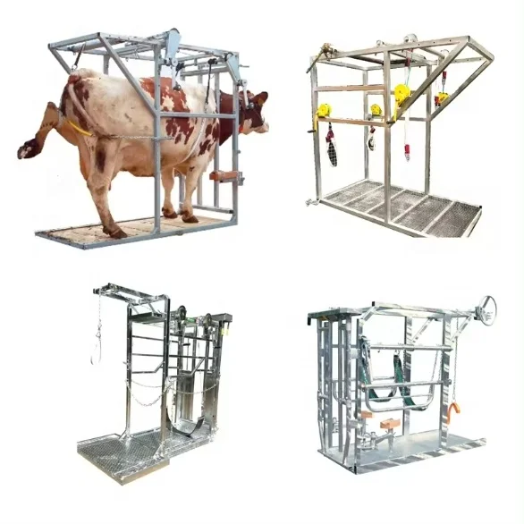 Cattle Equipment / Cattle Hoof Trimming / Mobile Cow Cattle Hoof Repairing Machine