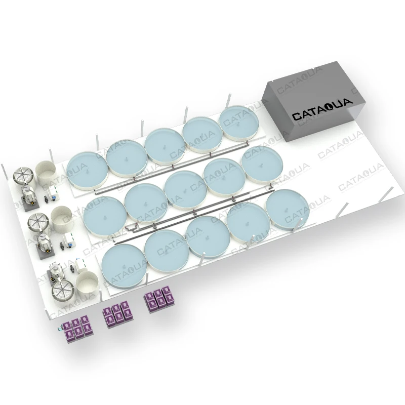 CATAQUA Low Temperature Holding System Crab Farming Ras System Aquaculture Equipment For Vertical Crab Farming Ras