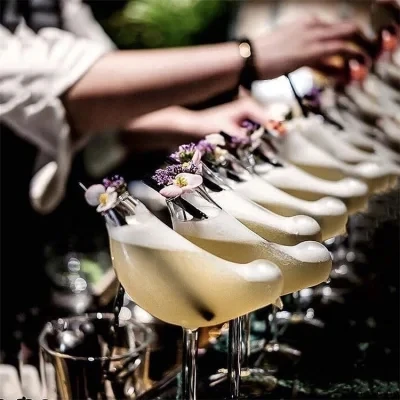 Creative Bird Shape Cocktail Glasses Wine Glass Excellent for Cocktail Bar Glassware