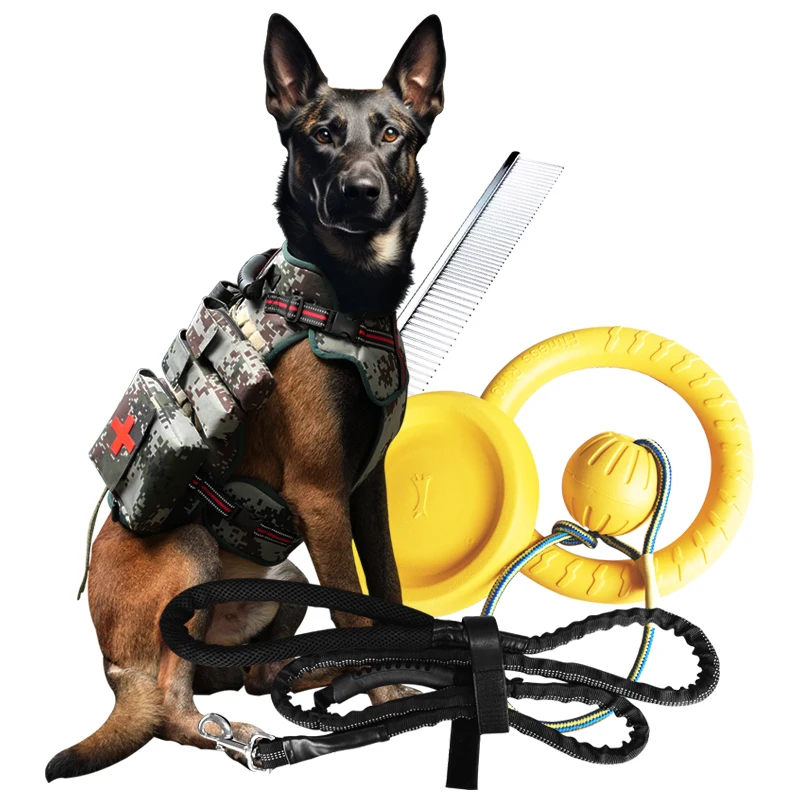 Kin Pet Newly developed product Outdoor Walking Dog Travel Set with Dog Chewing Toys ,cleaning comb and Leashes