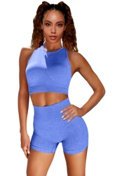 Tiktok Seamless Ribbed Sports 2 Piece Set Fitness Running  Bra And Shorts Set