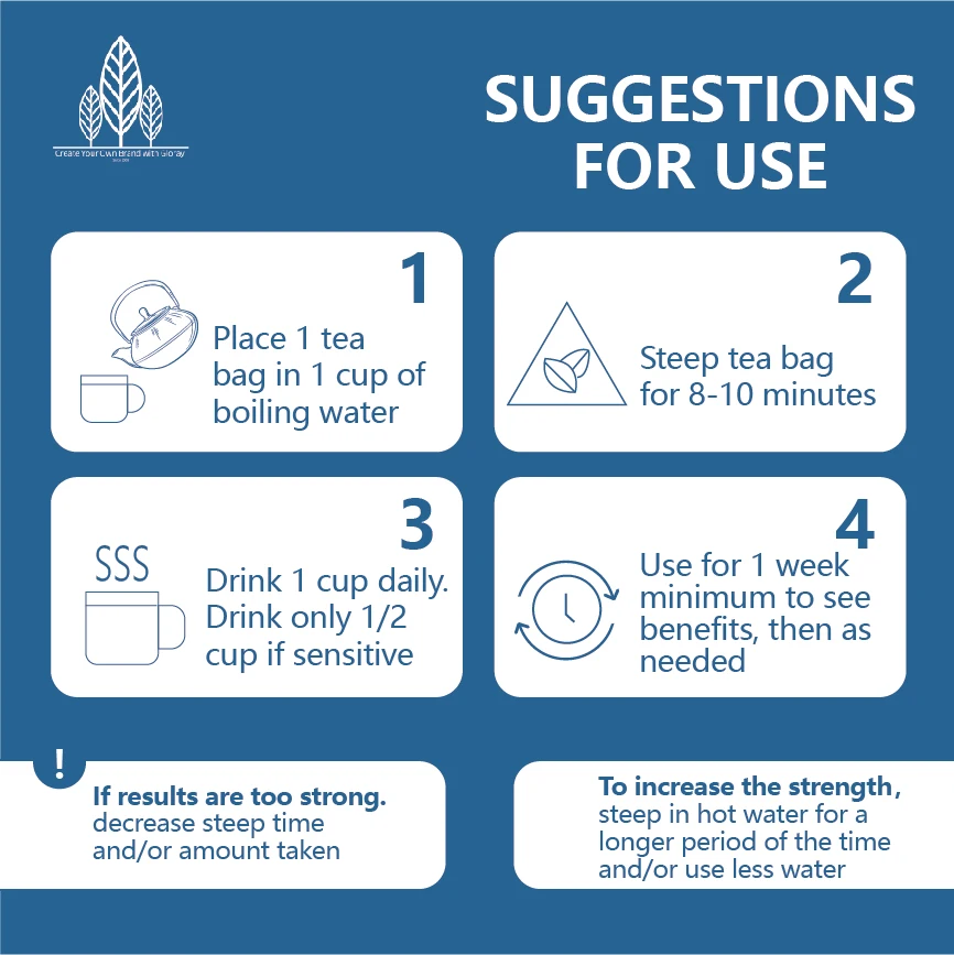 Ventre Plat 14 Nylon Tea Bags Fight Bloating Loss Weight Detox Your Body Adjust Your Diet 100% Natural Herbs