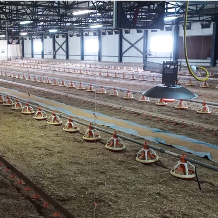 
waterproof heating lamp chicken gas brooder for poultry farm/ chicken house 