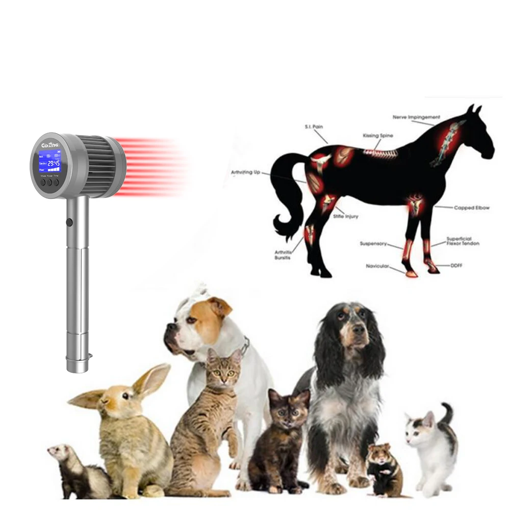 2022 top sale veterinary equipment animal pet Class IV physiotherapy pain relief Equine diode laser