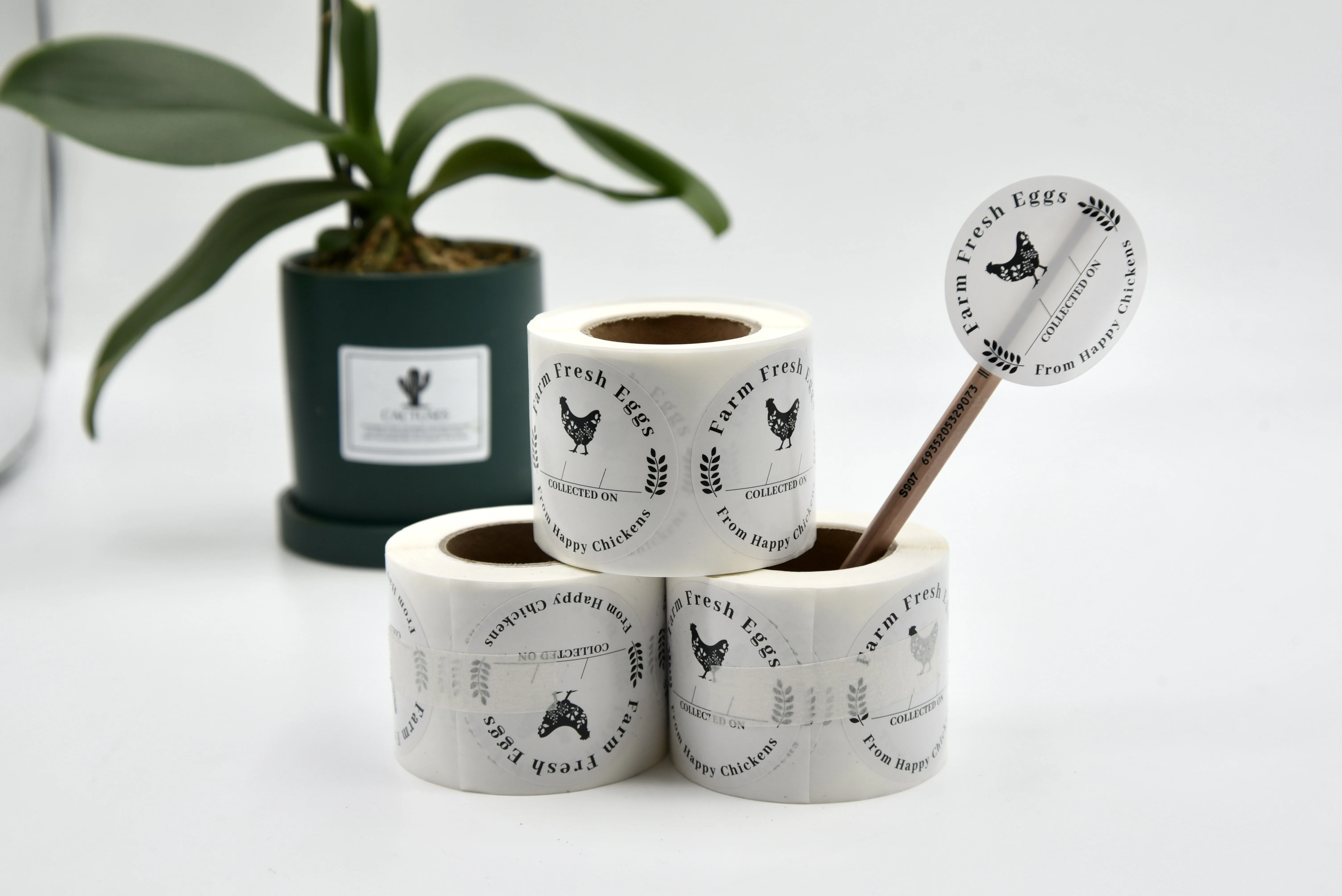 Custom Circle Decorating Stickers Roll Waterproof Round Vinyl Coated Paper Sticker Round Label Logo Stickers Custom Printing