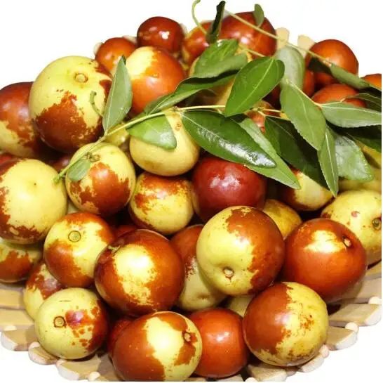 
Export grade fresh juicy winter jujube from china 