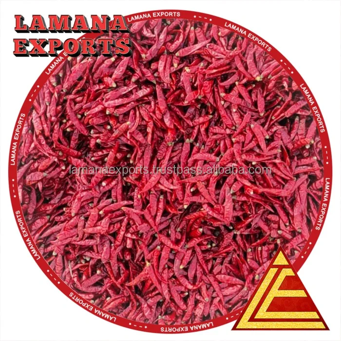 Chilli S17 Teja Stemless India Chilli Premium Quality for Thailand Guntur Hot Dried Red Chili Pepper Single Herbs & Spices Raw