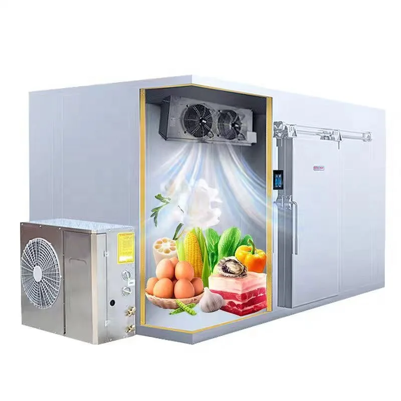 Mobile Container Cold Storage Blast Freezer Room Walk In Cooler Storage Room For Meat