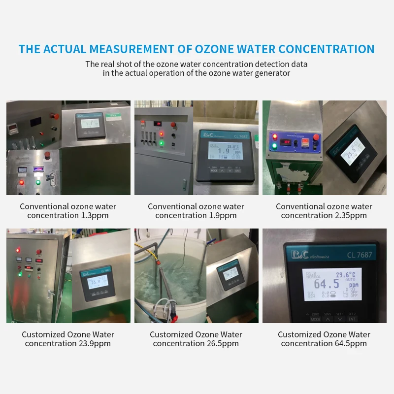 1-10ppm custom made Ozone water generator for water purification drinking water disinfection sewage treatment