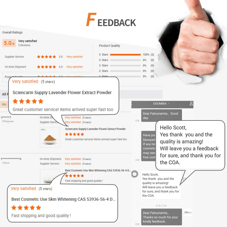 Top Purity Probiotics Powder Bifidobacterium bifidum