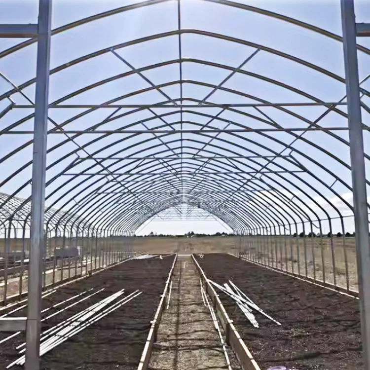 Commercial greenhouse frame single span tunnel greenhouse automated blackout Light Deprivation green house used for sale