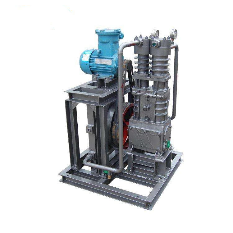 High Quality Custom Petroleum Compressor LPG Compressor for Natural Gas in Russia