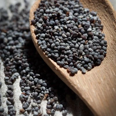 Best Price Blue Poppy Seeds