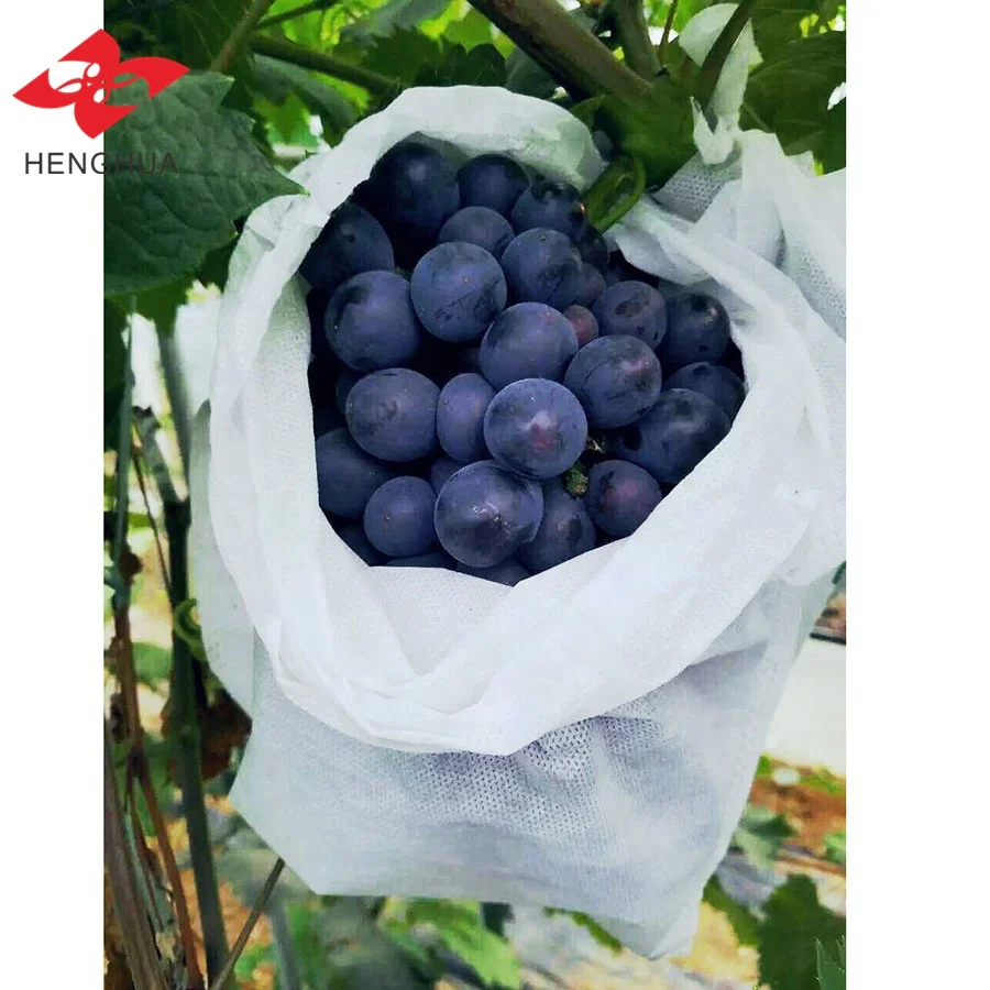 Henghua rolls tnt recycle 45 gsm 100% pp Полипропилен спанбонд сельское хозяйство нетканый материал Нетканые рулоны