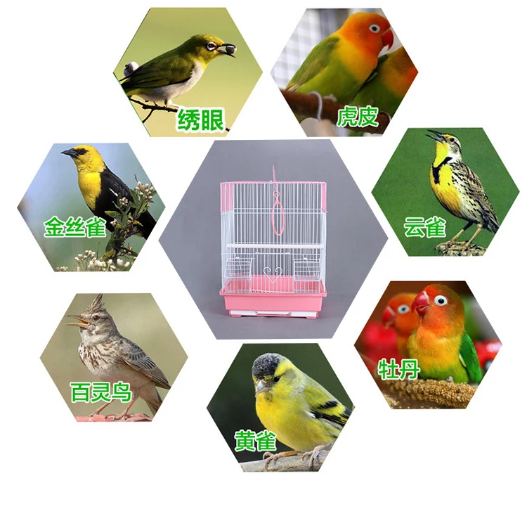 Simple portable small fashion design pink canary bird cage for sale