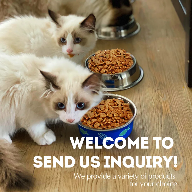 TOPTREES-comida seca con sabor a pollo para mascotas, alimento orgánico para gatos, no coloreado artificial