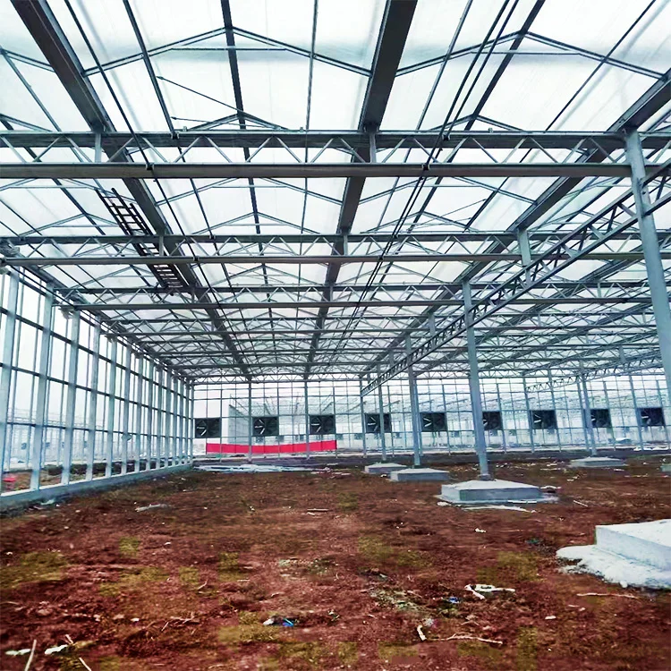 Large size multi-span venlo glass Greenhouse tomato greenhouse and strawberry greenhouse turnkey project
