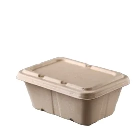 eco friendly food packaging container from bagasse containers manufacturer