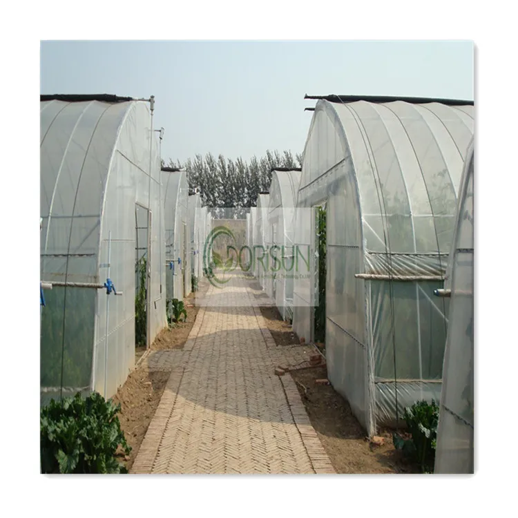Strawberry Growing Greenhouse Arches Film Single Span Tunnel Greenhouse Plastic Green House for Vegetables