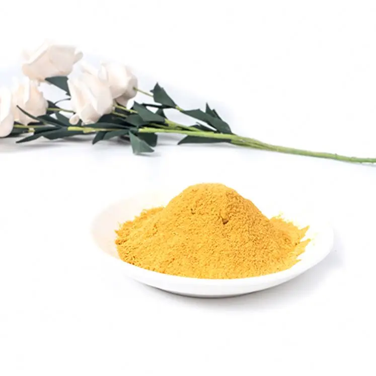 Hot sale good price Corn Gluten Meal 60% animal feed