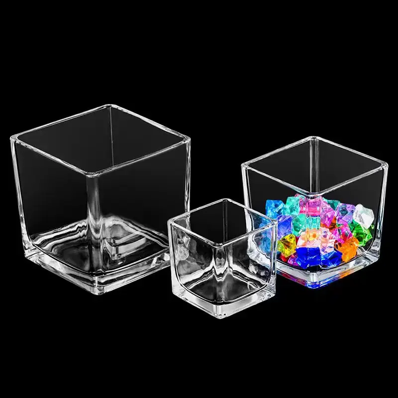 Wholesale Modern Machine Made Wide Mouth Square Cube Transparent Plant Fish Glass Flower Vases