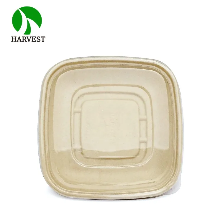 
Disposable Biodegradable Microwavable Bagasse Takeout Food Container 