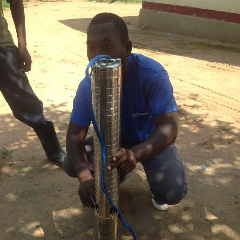 4SSC6.6/158-D90/1300 2hp Солнечная насосная система для сельскохозяйственного орошения