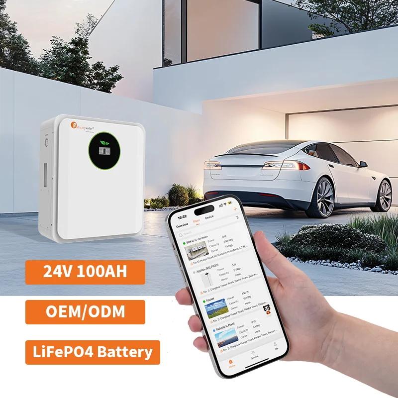 baterie litium solaire 100 ah battery au lithium 100ah 24v battery au lithium 2.56kwh felicity kit