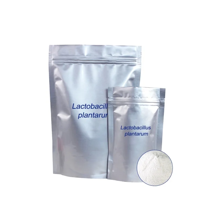  Халяль ISO Lactobacillus plantarum HH-LP56 20 млрд cfu/g пробиотиков сыпучих