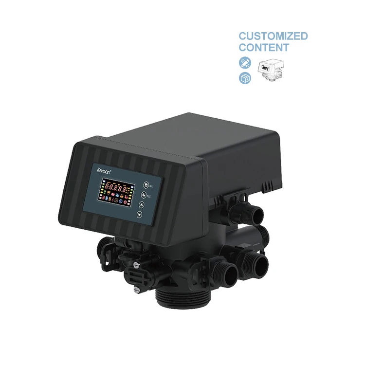 [FFD4]3 m3/h FRP Tank Head Backwash Water Flow Control Filter-Filter-Softener Valve for Water Purification Machinery