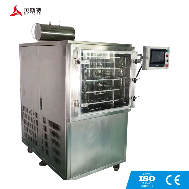 Vacuum Microwave Sterilizing Dryer Machine Microwave Vacuum Freeze Dryer Dehydrator