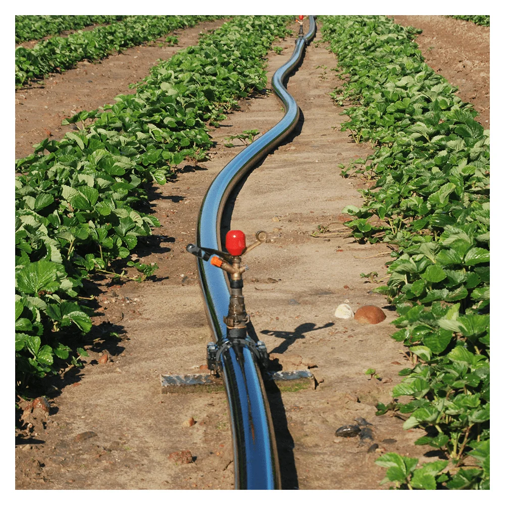 25mm 2 Inch 3 Inch 50Mm 100Mm Black 34  Poly poli pipe price Tubes Rolls Agriculture Drip Irrigation Ldpe Pipe Prices Price List