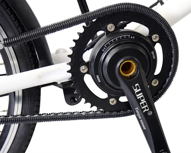 20' Aluminum Frame Steel Fork Mini Electric Portable Bike 36V 250W Single Speed Ebike 7.5Ah Battery With Bottle Holder BMX Bike