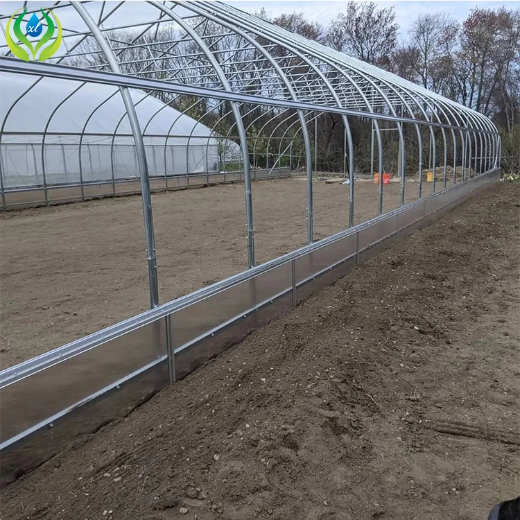 Lean-to Agriculture Greenhouse for tomato invernadero agricola