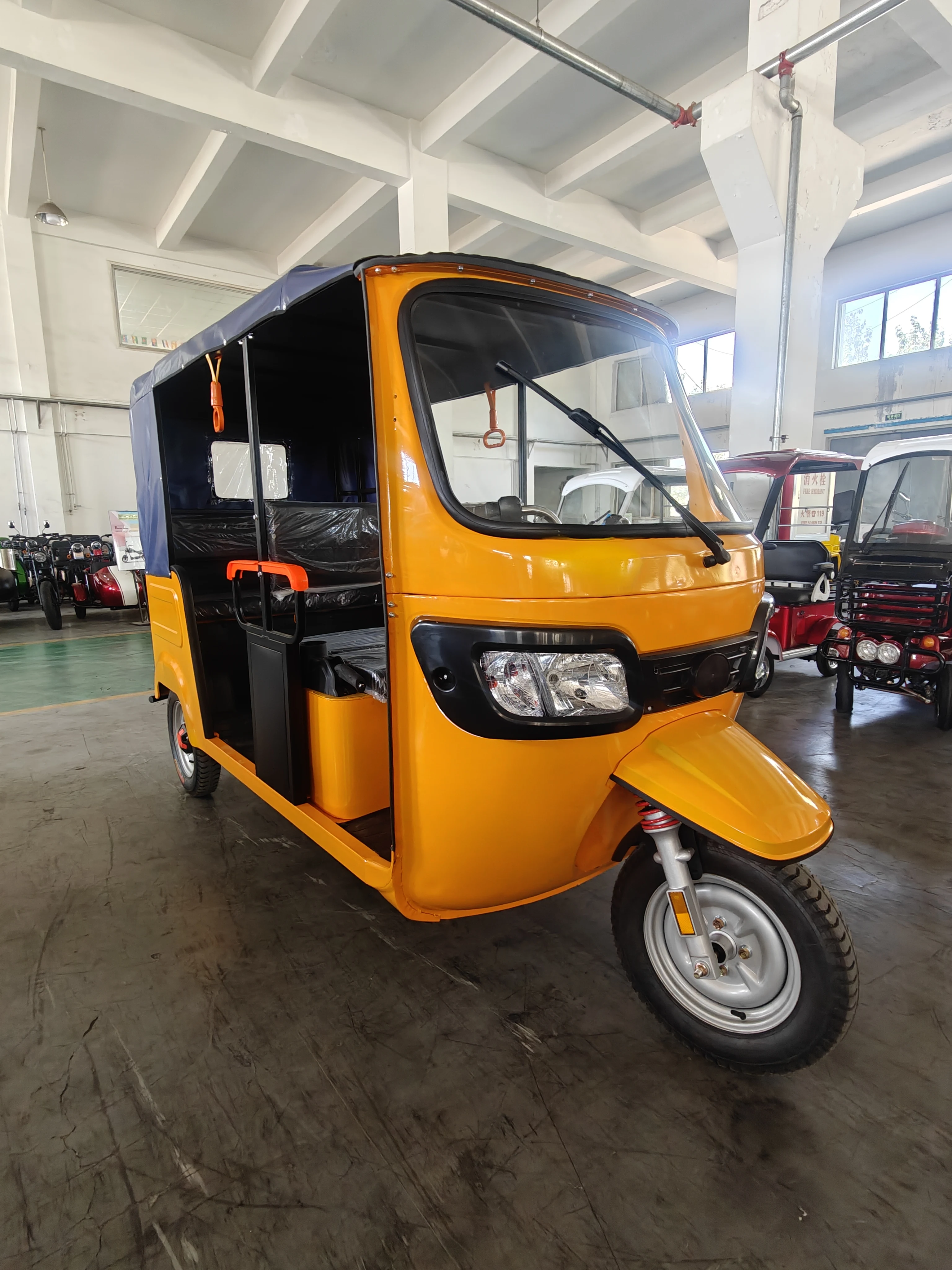 2024 Electric Tuk Tuk 2000W Direct sales Hot sell 2000 Watt Best Old Age E-bike Electric Tricycle Adult Tricycle