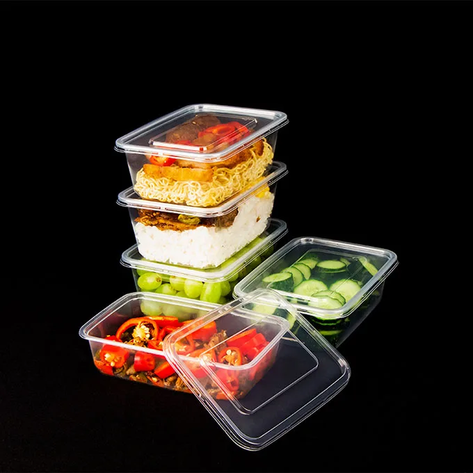 500 ml Capacity Eco Friendly Takeout Boxes Compostable Picnics Packaging To Go Containers Food Disposable