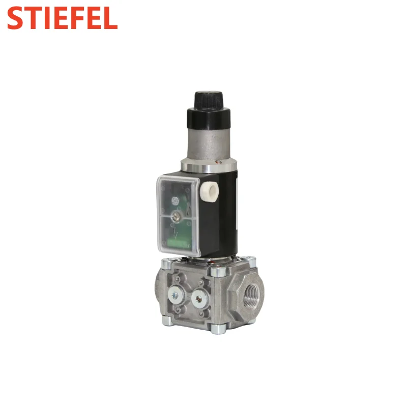 DEVSC shut off valve solenoid valve lpg gas for burner boiler parts  ignition gas valve