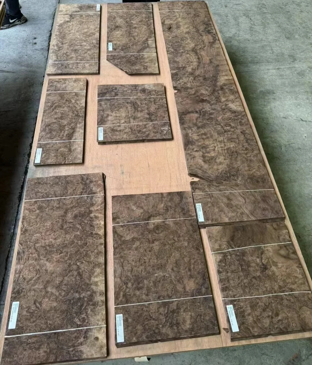 Big Size Black Walnut Crotch Veneer in Stock