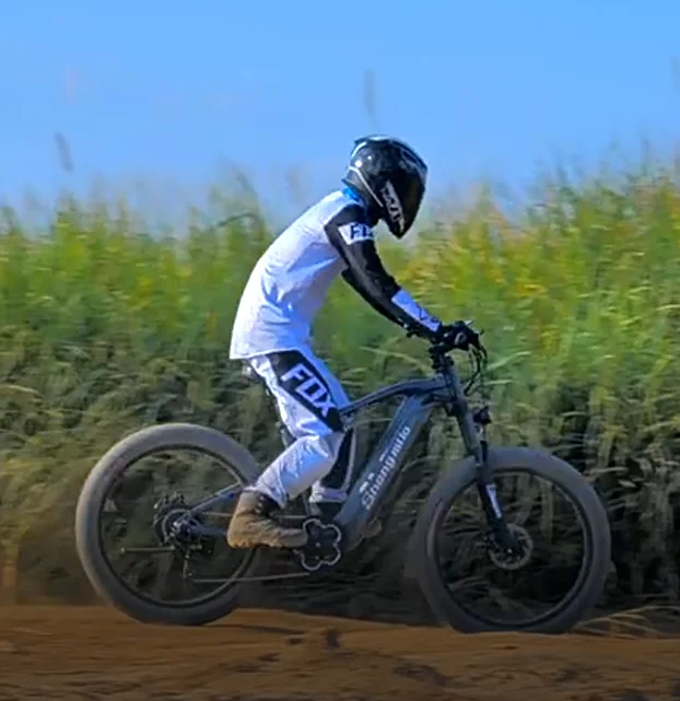 MX05 Aluminum Alloy Electric Bike Lithium Battery Brushless Motor 48V Rear Hub Motor Grey 500W 7 Speed Motorcycle Gear Down Tube