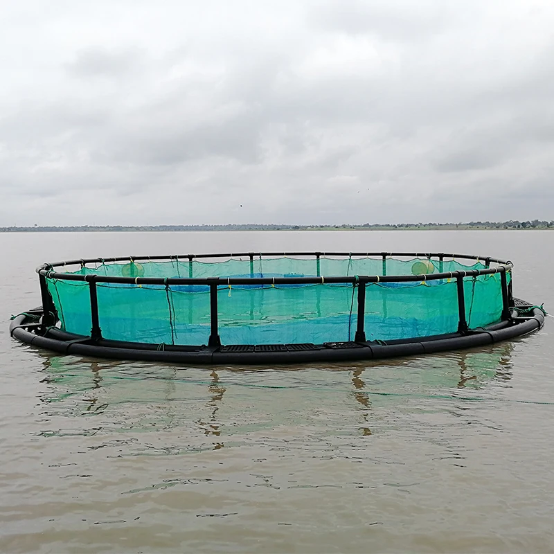 Инструменты для аквакультуры HDPE труба морской воды клетка разведения рыбы сеть-фонарь