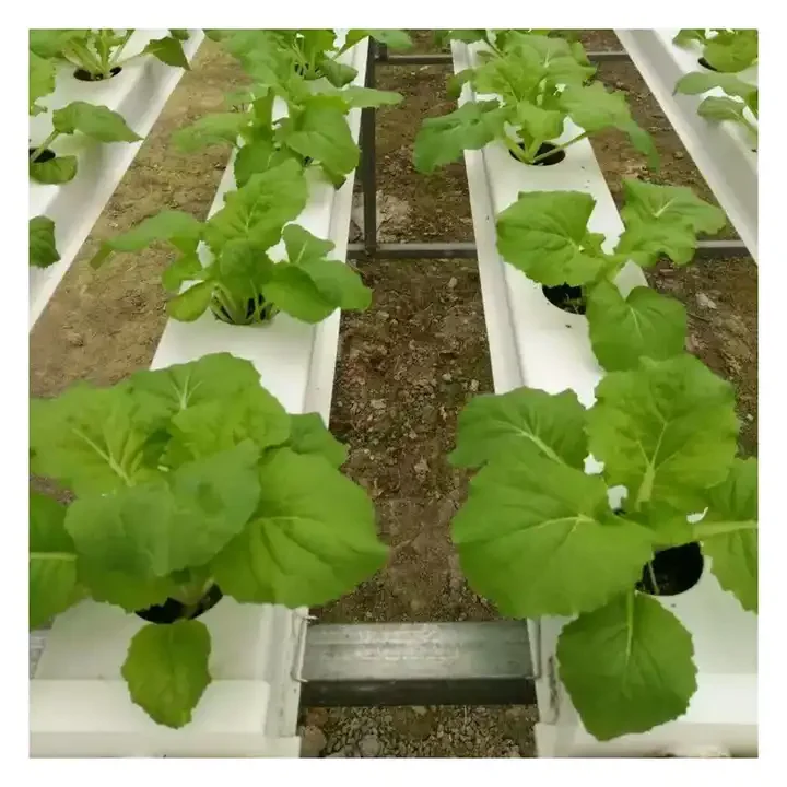 NFT hydroponic growing systems greenhouse complete hydroponic for strawberry hydroponic growing systems