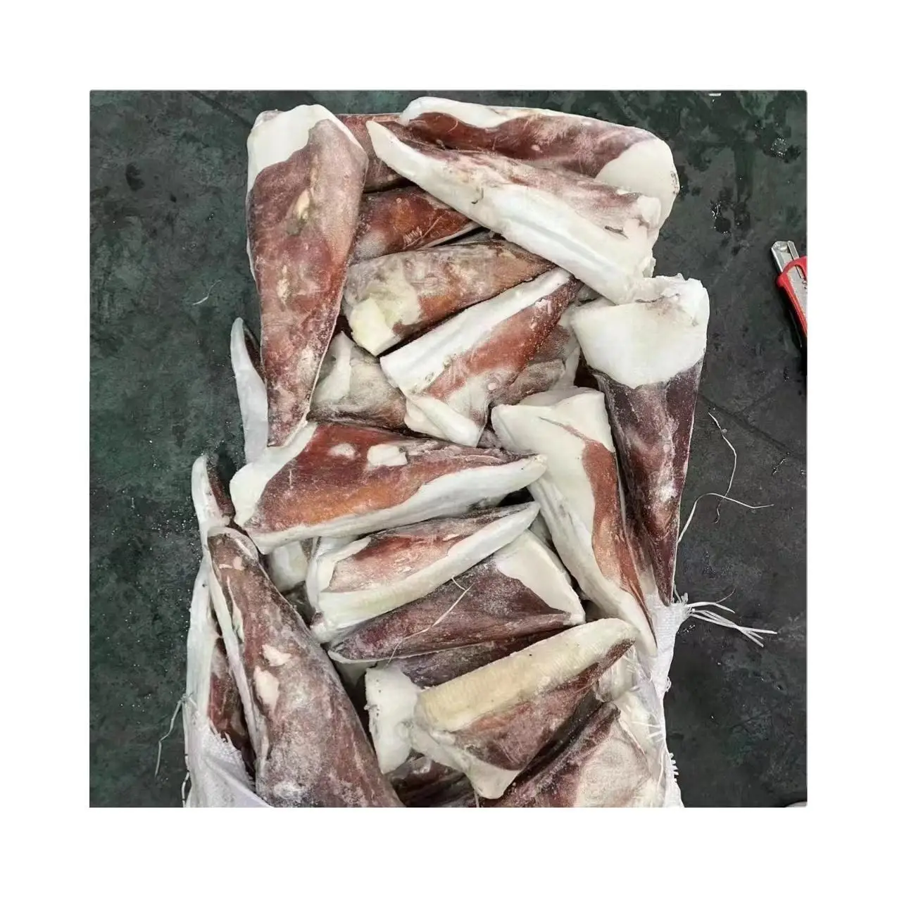 Замороженный гигантский наконечник кальмара